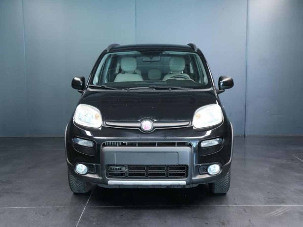 Fiat Panda 1.3 MJT S&S 4x4 (2)