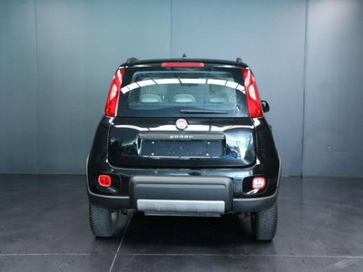 Fiat Panda 1.3 MJT S&S 4x4 (4)