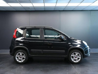Fiat Panda 1.3 MJT S&S 4x4 (6)