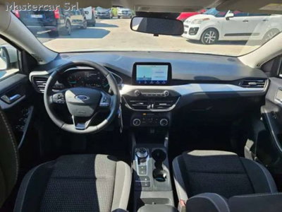Ford Focus Station Wagon 1.5 EcoBlue 120 CV automatico SW Business (11)