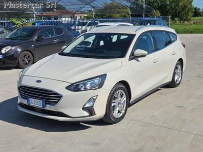 Ford Focus Station Wagon 1.5 EcoBlue 120 CV automatico SW Business (2)