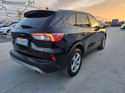 Ford Kuga 1.5 EcoBlue 120 CV 2WD ST-Line (6)