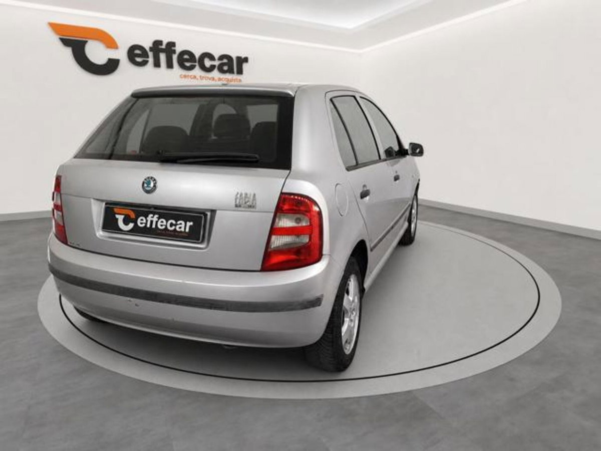 Skoda Fabia CV 16V cat 5 porte Style (6)