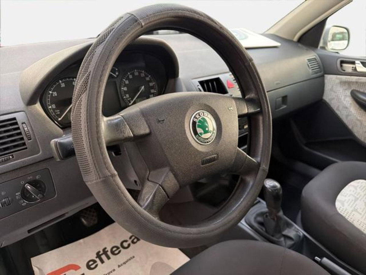 Skoda Fabia CV 16V cat 5 porte Style (9)