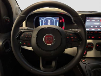 Fiat Panda Cross 1.0 firefly hybrid Cross s&s 70cv 5p.ti (9)