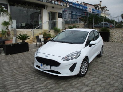 Ford Fiesta 1.1 75 CV GPL 5 porte Titanium usata