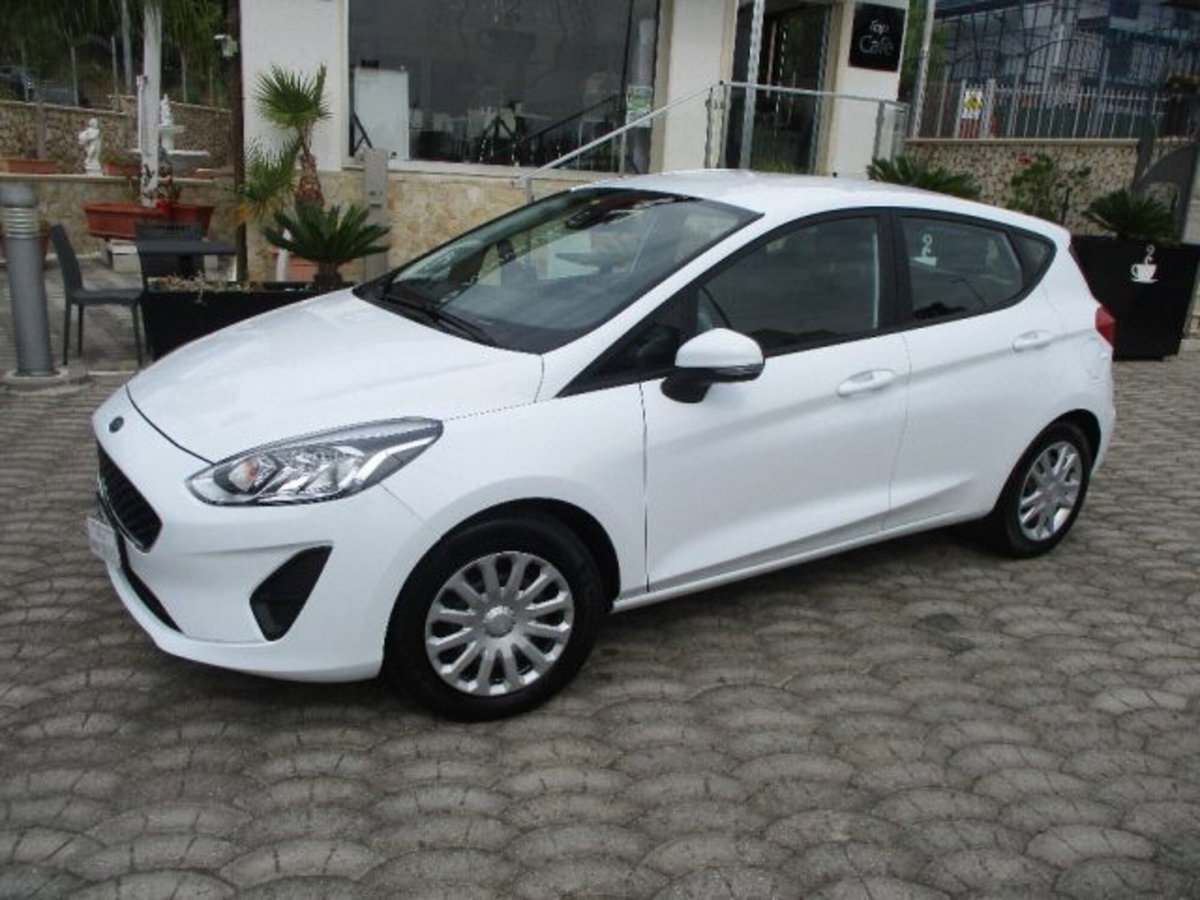 Ford Fiesta 1.1 75 CV GPL 5 porte Titanium (2)