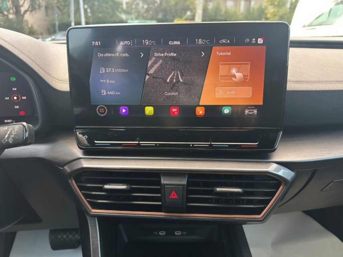 Cupra Formentor Formentor 2.0 tdi 4drive 150cv dsg (11)