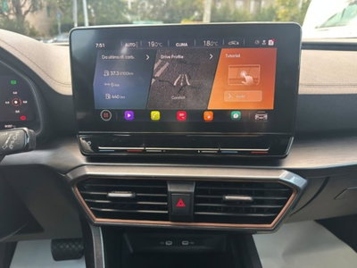 Cupra Formentor Formentor 2.0 tdi 4drive 150cv dsg (11)