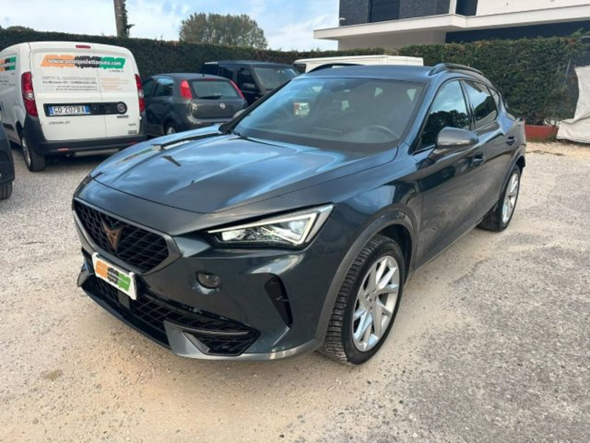 Cupra Formentor Formentor 2.0 tdi 4drive 150cv dsg (16)