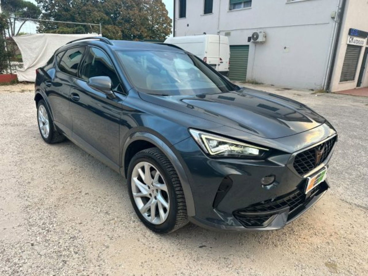 Cupra Formentor Formentor 2.0 tdi 4drive 150cv dsg (17)