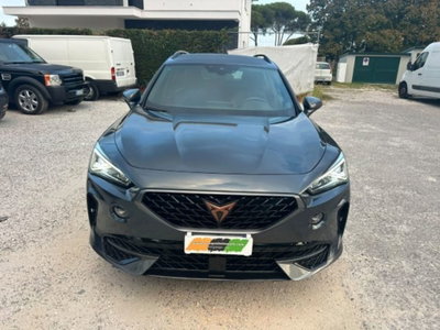 Cupra Formentor Formentor 2.0 tdi 4drive 150cv dsg (19)