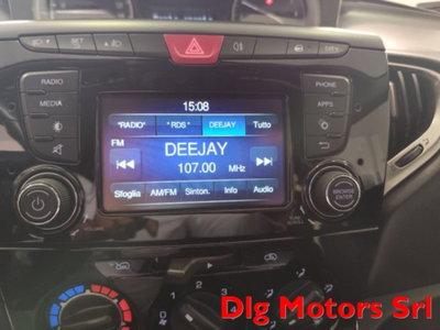 Lancia Ypsilon 1.2 69 CV 5 porte Gold (12)