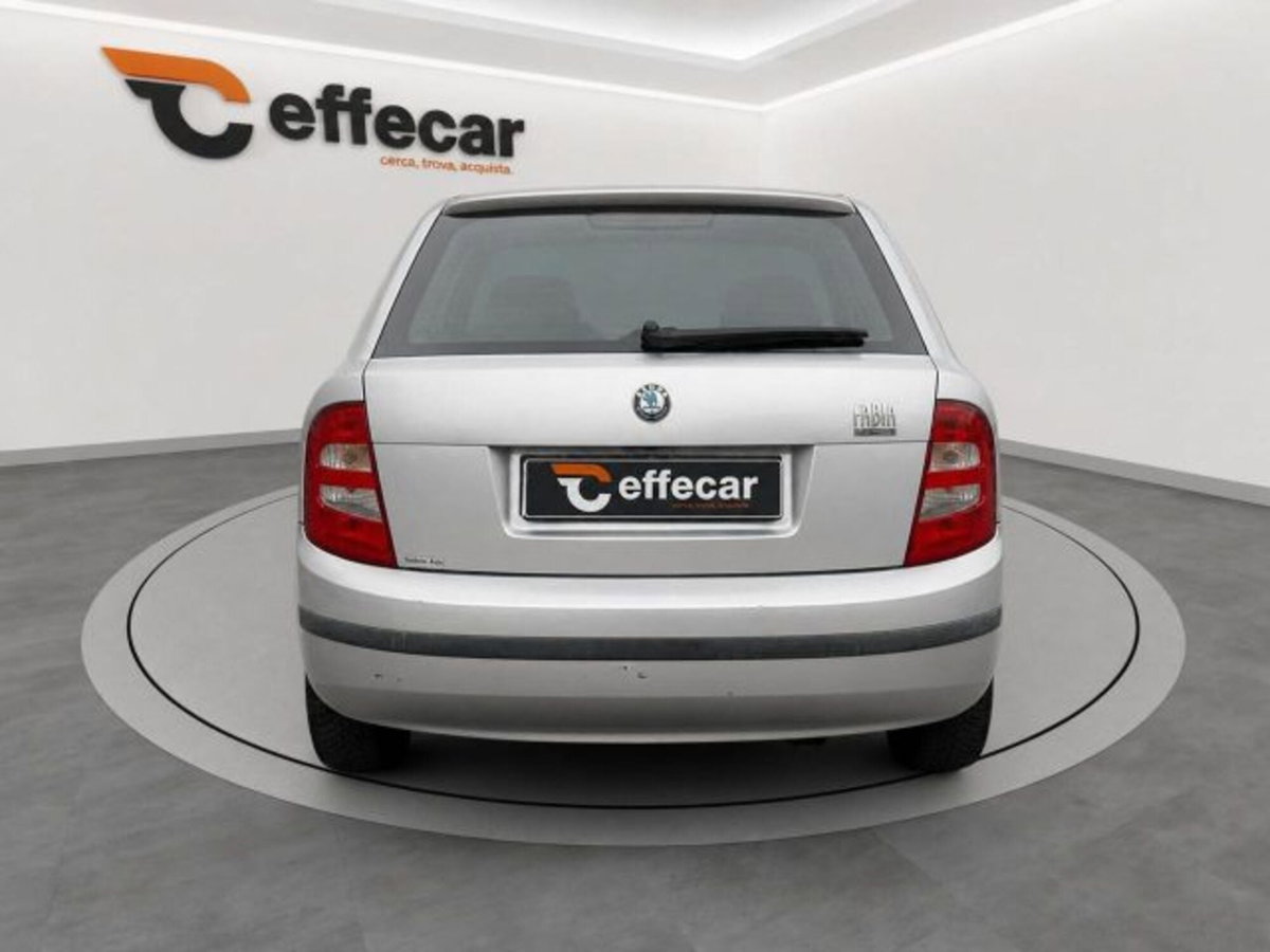 Skoda Fabia CV 16V cat 5 porte Style (5)
