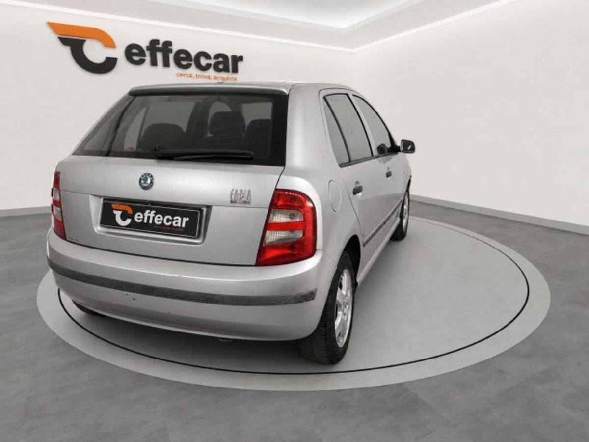 Skoda Fabia CV 16V cat 5 porte Style (6)