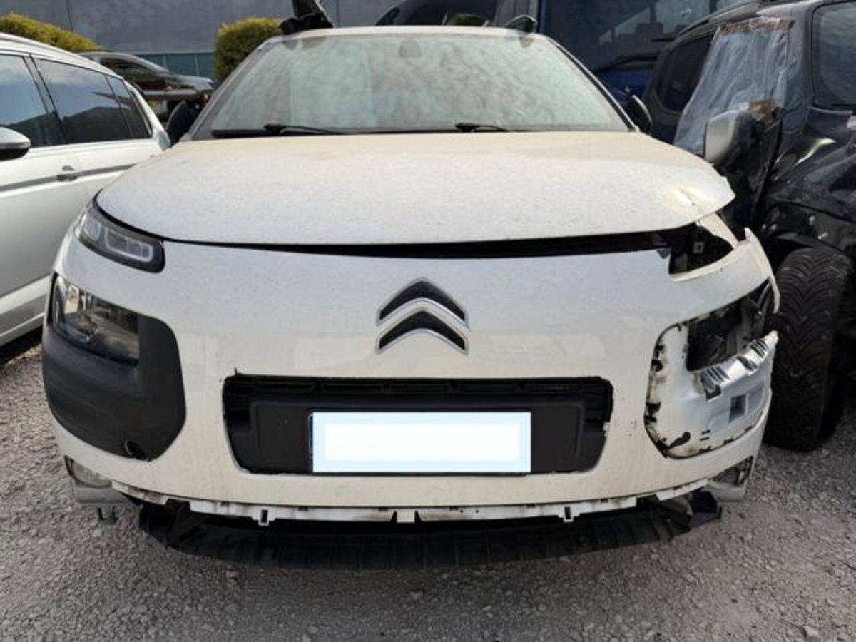 Citroen C4 Cactus PureTech 82 Shine (2)