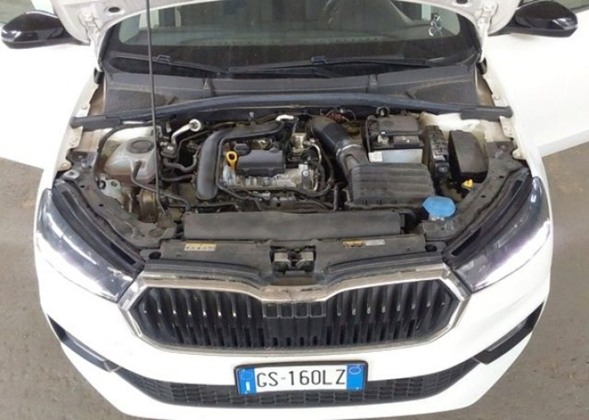 Skoda Fabia 1.0 tsi evo Style 110cv dsg (14)