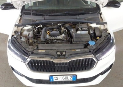Skoda Fabia 1.0 tsi evo Style 110cv dsg (14)