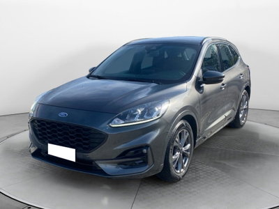Ford Kuga 2.0 EcoBlue 120CV aut. AWD ST-Line X usata