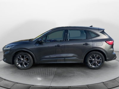 Ford Kuga 2.0 EcoBlue 120CV aut. AWD ST-Line X (2)