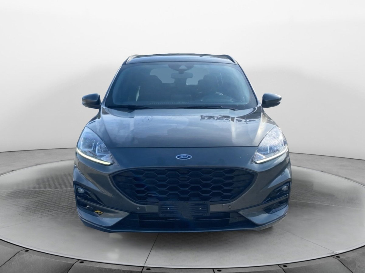 Ford Kuga 2.0 EcoBlue 120CV aut. AWD ST-Line X (5)