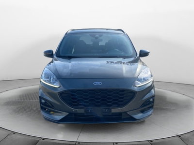 Ford Kuga 2.0 EcoBlue 120CV aut. AWD ST-Line X (5)
