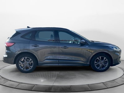 Ford Kuga 2.0 EcoBlue 120CV aut. AWD ST-Line X (7)