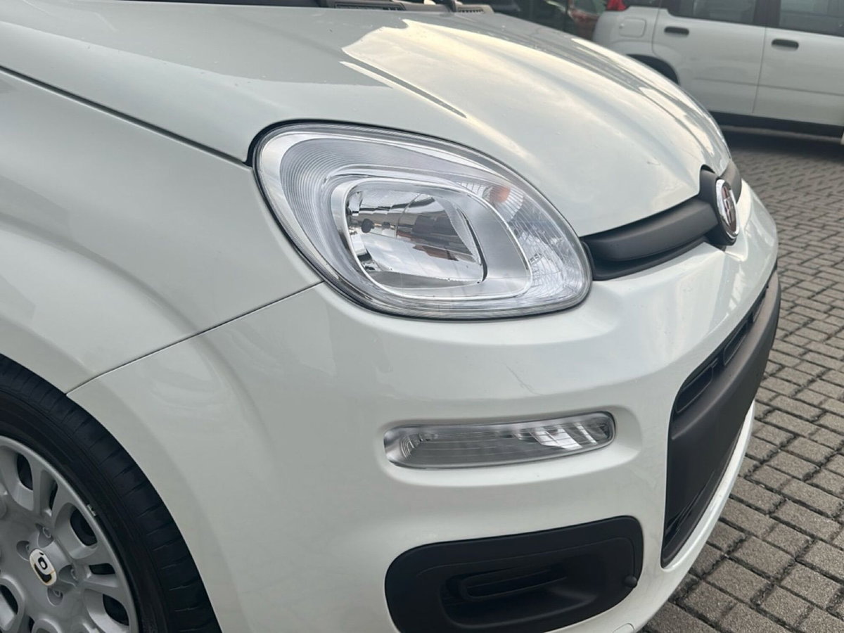 Fiat Panda Cross Cross 1.0 FireFly S&S Hybrid (10)