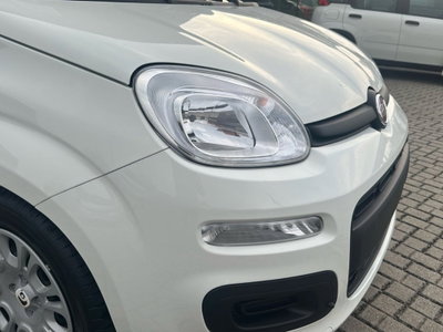 Fiat Panda Cross Cross 1.0 FireFly S&S Hybrid (10)