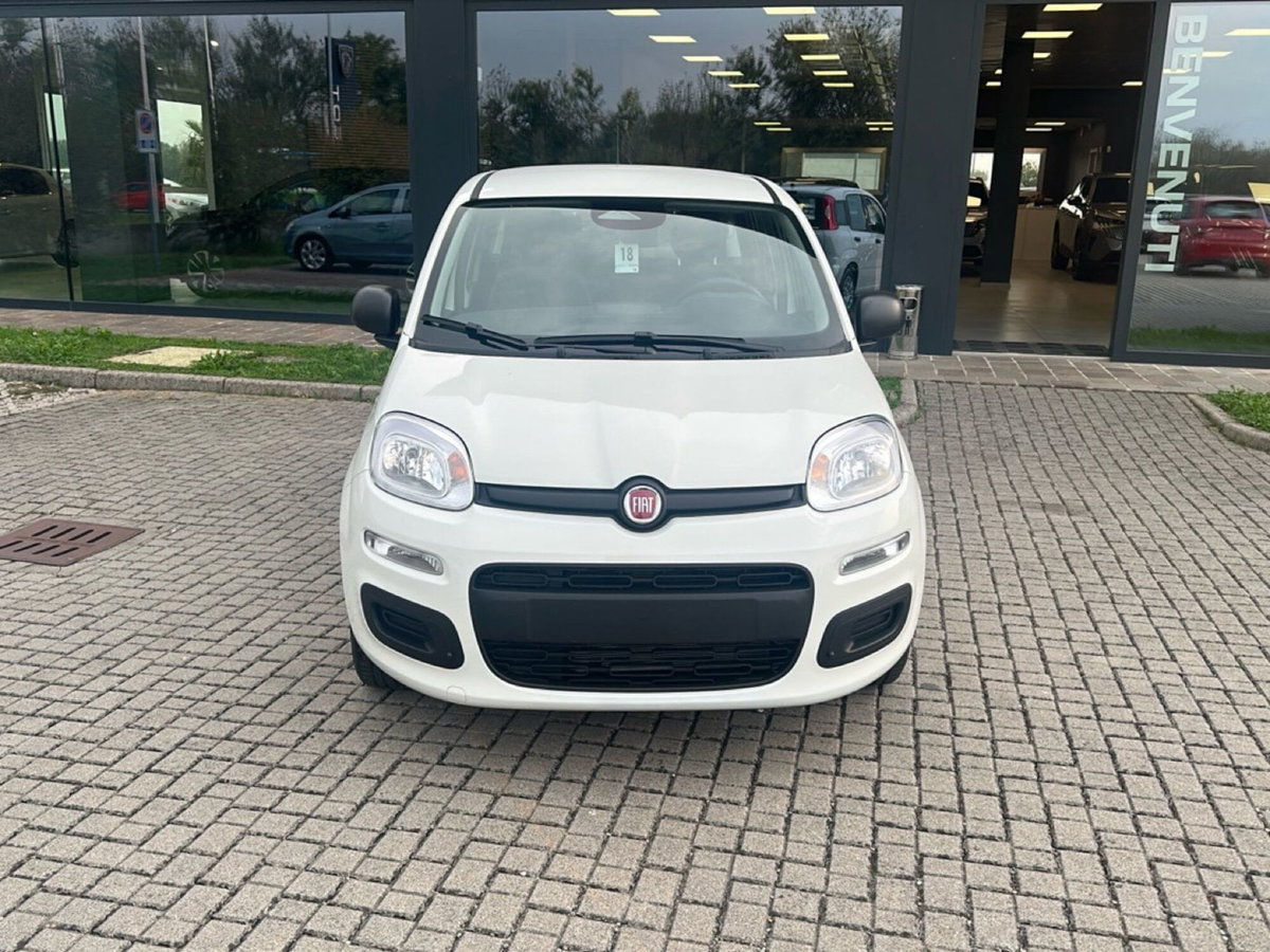 Fiat Panda Cross Cross 1.0 FireFly S&S Hybrid (2)