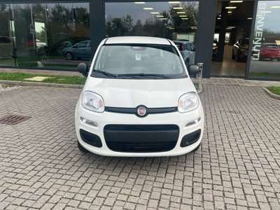 Fiat Panda Cross Cross 1.0 FireFly S&S Hybrid (2)