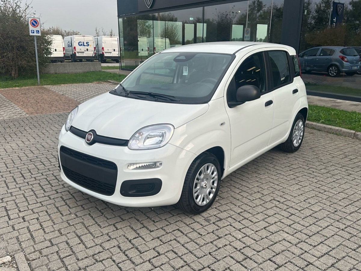 Fiat Panda Cross Cross 1.0 FireFly S&S Hybrid (3)