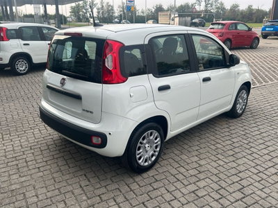 Fiat Panda Cross Cross 1.0 FireFly S&S Hybrid (5)
