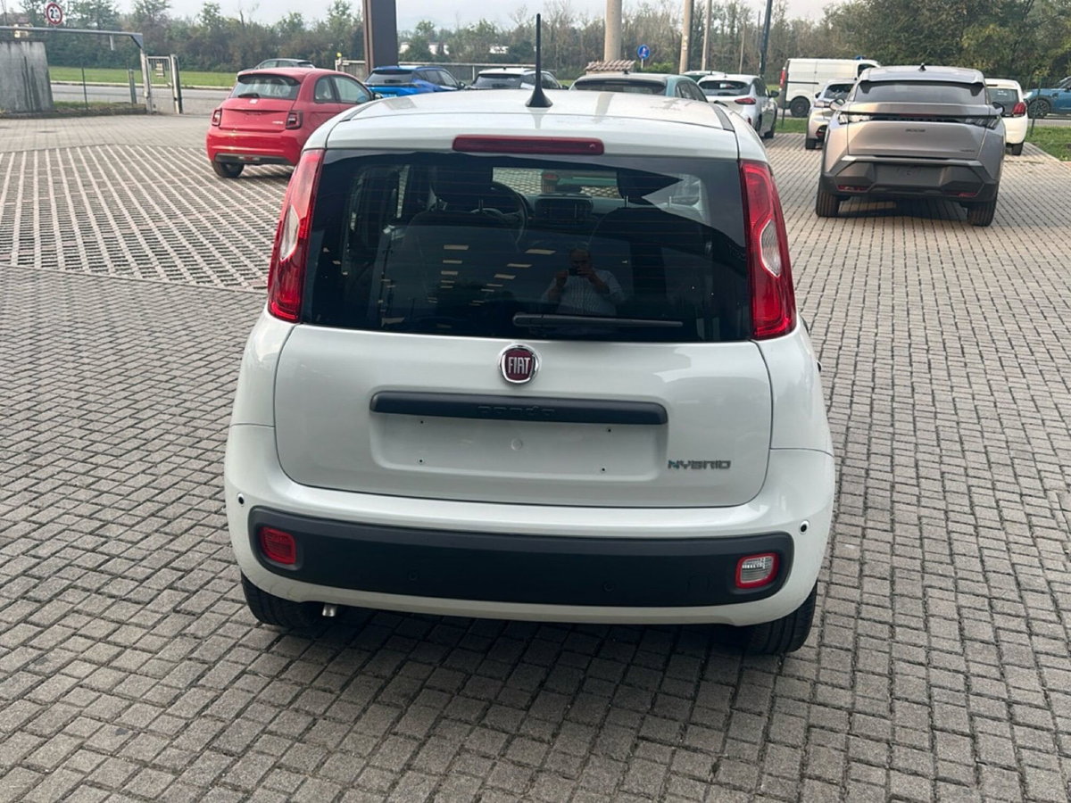 Fiat Panda Cross Cross 1.0 FireFly S&S Hybrid (6)