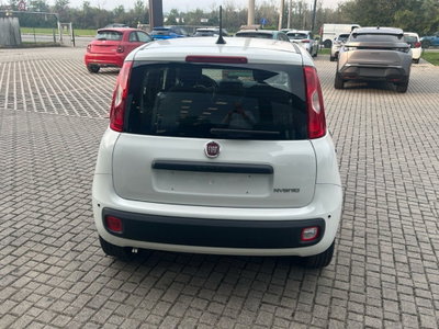Fiat Panda Cross Cross 1.0 FireFly S&S Hybrid (6)