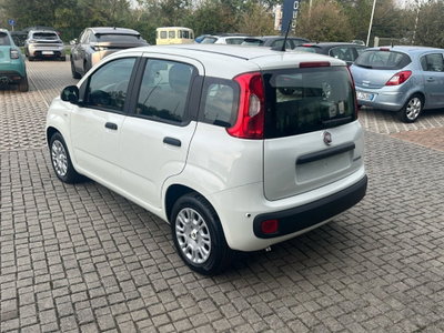 Fiat Panda Cross Cross 1.0 FireFly S&S Hybrid (7)