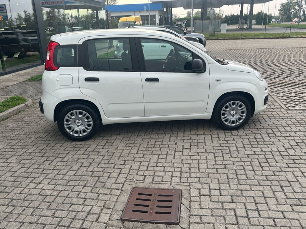 Fiat Panda Cross Cross 1.0 FireFly S&S Hybrid (8)