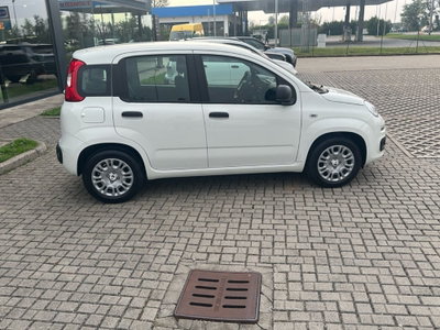 Fiat Panda Cross Cross 1.0 FireFly S&S Hybrid (8)