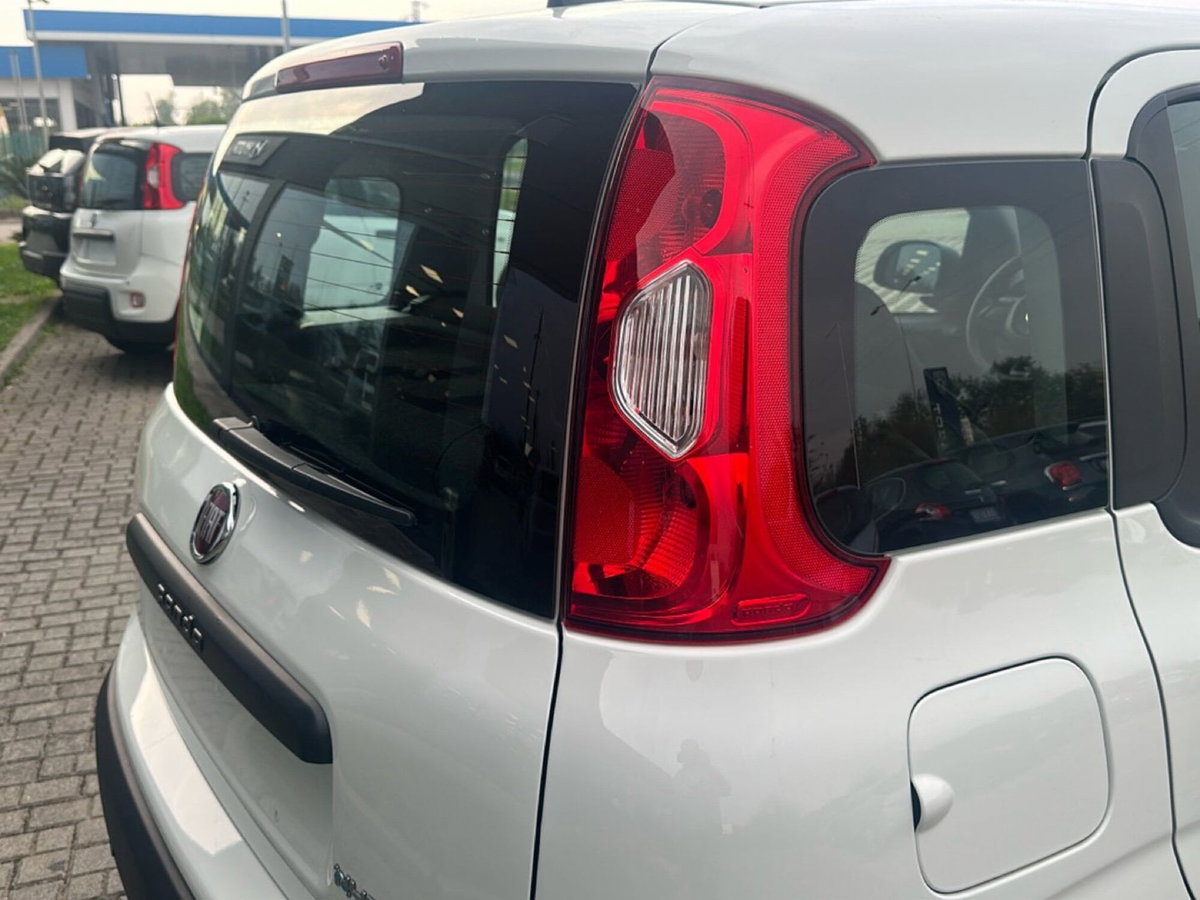 Fiat Panda Cross Cross 1.0 FireFly S&S Hybrid (9)