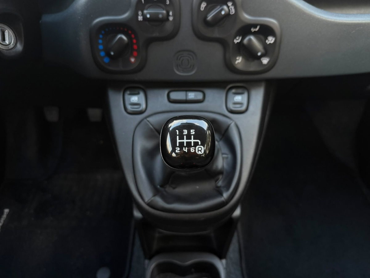 Fiat Panda Cross Cross 1.0 FireFly S&S Hybrid (11)