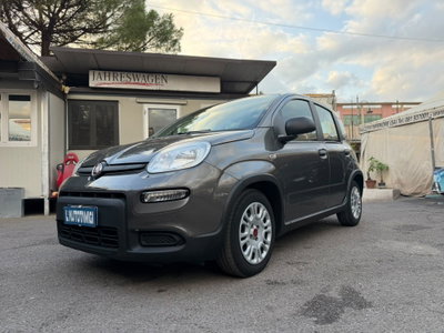 Fiat Panda Cross Cross 1.0 FireFly S&S Hybrid (2)