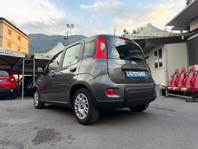 Fiat Panda Cross Cross 1.0 FireFly S&S Hybrid (3)