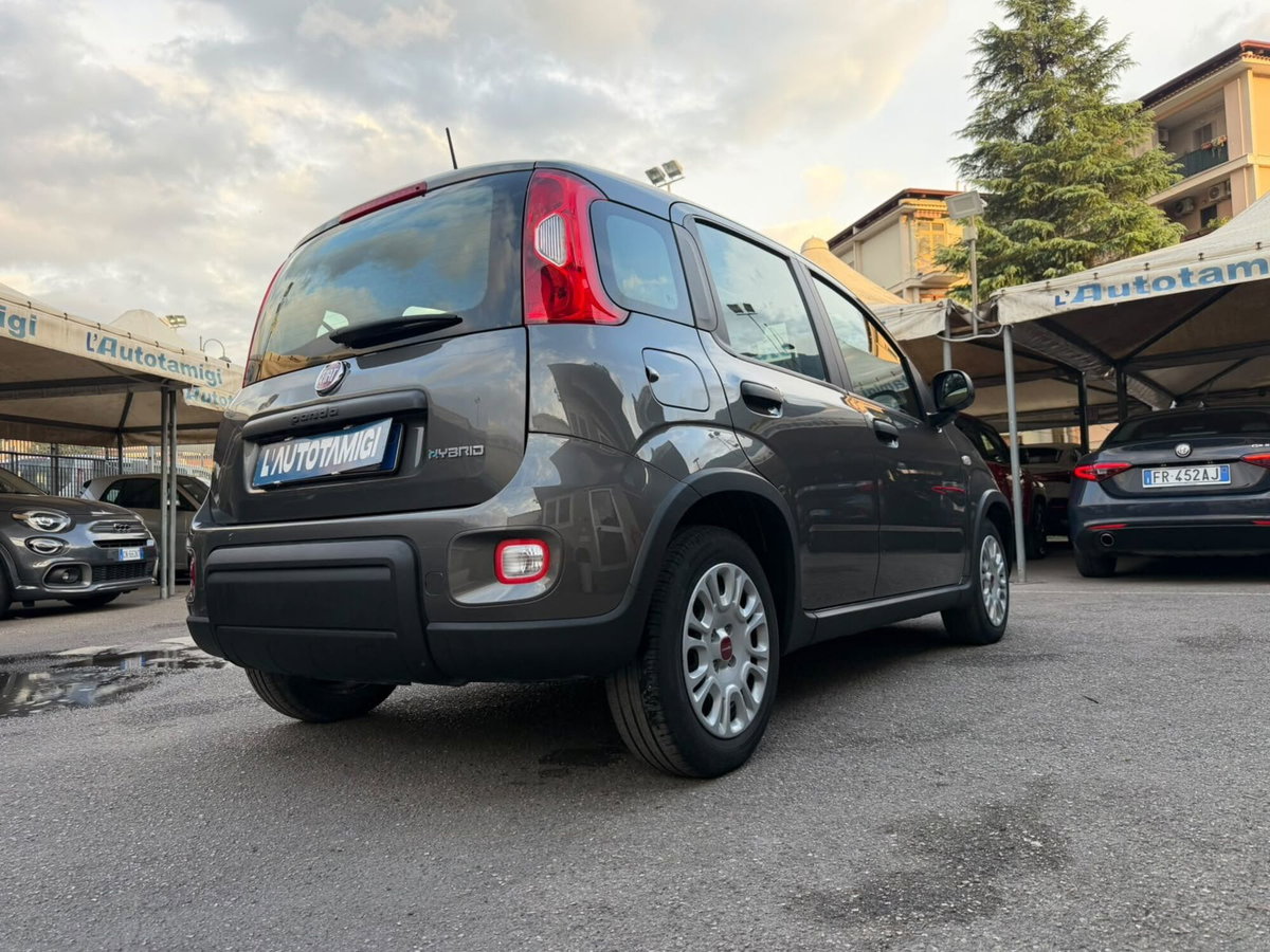 Fiat Panda Cross Cross 1.0 FireFly S&S Hybrid (4)