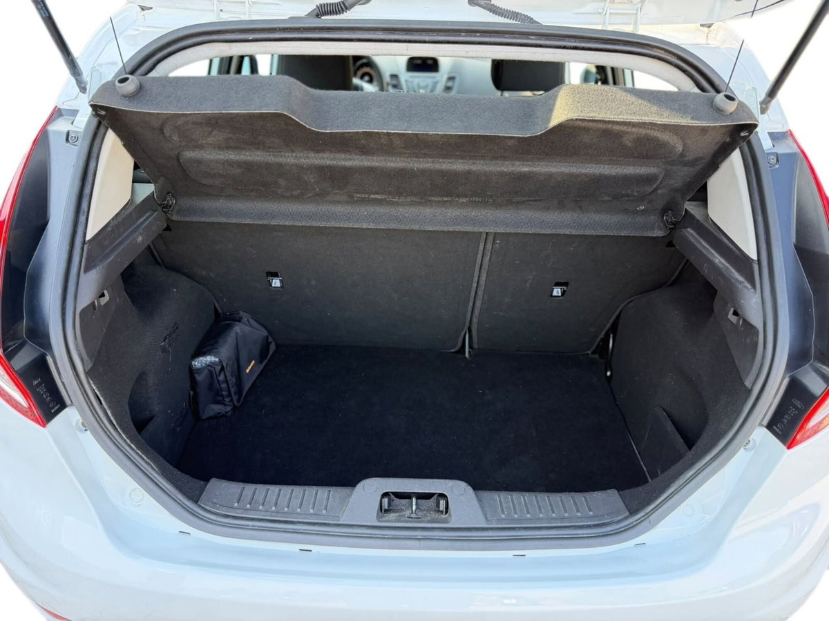 Ford Fiesta 1.4 5 porte Bz.- GPL (9)