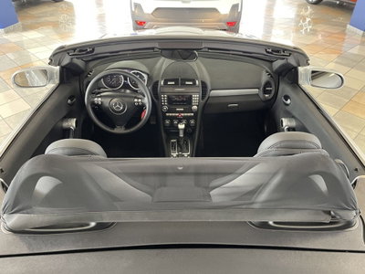 Mercedes-Benz SLK 200 Kompressor cat (15)