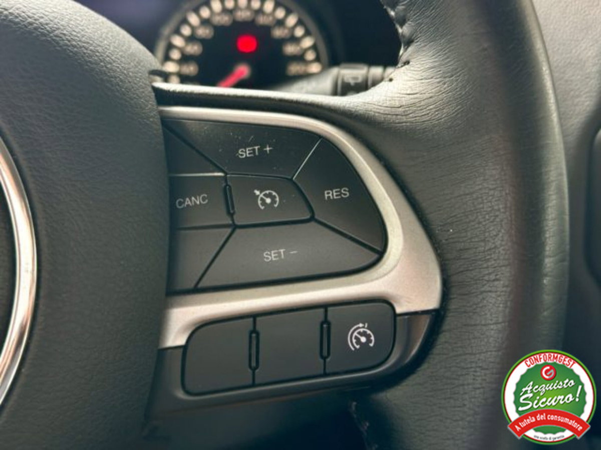 Jeep Renegade 1.6 Mjt 120 CV Limited (19)
