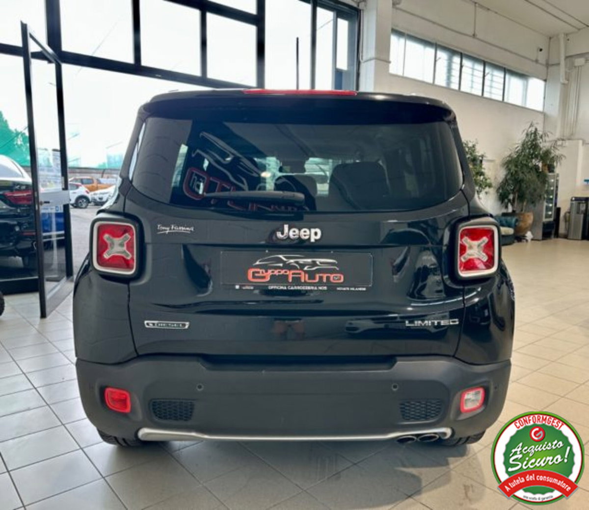 Jeep Renegade 1.6 Mjt 120 CV Limited (5)
