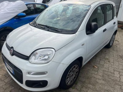 Fiat Panda 1.3 MJT 80 CV S&S Easy (2)