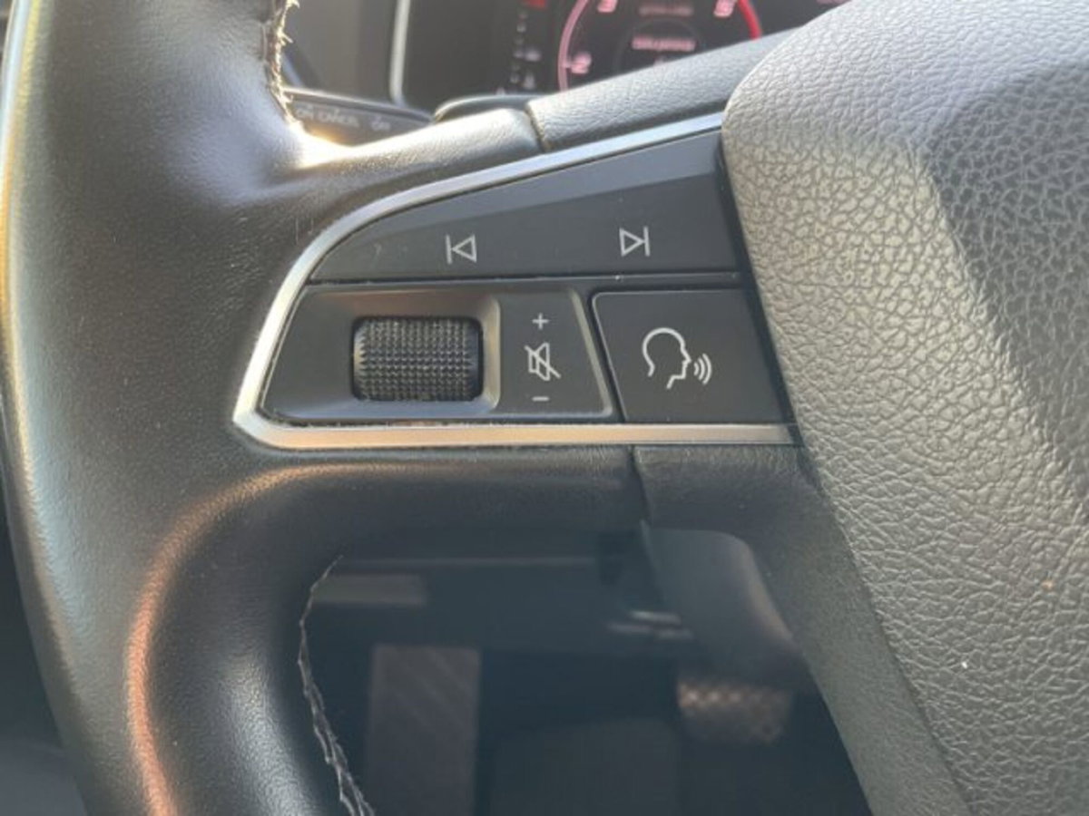 SEAT Tarraco 2.0 TDI 4Drive DSG Business (5)
