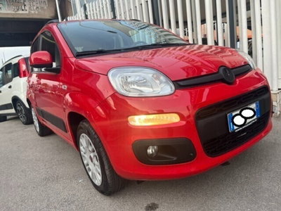 Fiat Panda 1.2 Easy usata